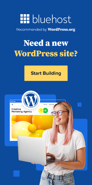 WordPress Hosting; hosting for WordPress; blog hosting; blog domain name ideas