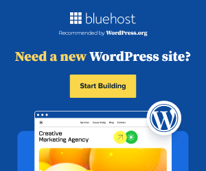 Bluehost hosting for websites; hosting for websites; website hosting; cheap website hosting, easy website hosting; WordPress hosting; easy WordPress hosting